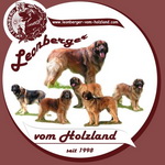 .leonberger-vom-holzland.com